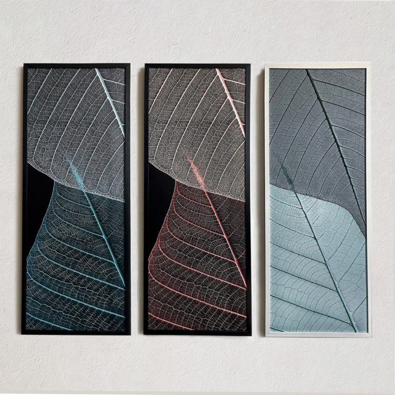 Դեկորատիվ 3D նկարներ 123x49սմ